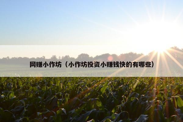 网赚小作坊（小作坊投资小赚钱快的有哪些）
