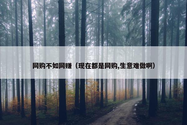 网购不如网赚（现在都是网购,生意难做啊）