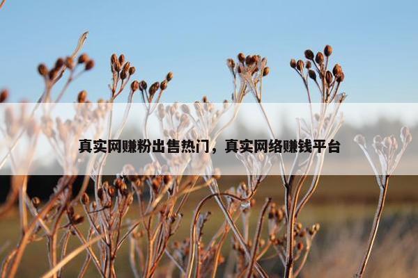 真实网赚粉出售热门，真实网络赚钱平台