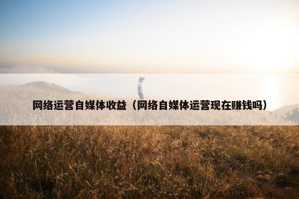 网络运营自媒体收益（网络自媒体运营现在赚钱吗）