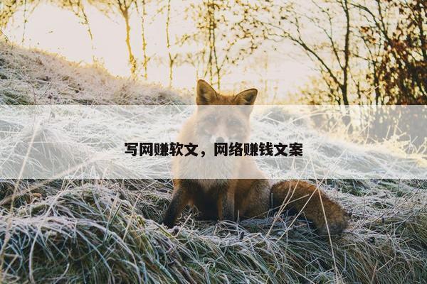 写网赚软文，网络赚钱文案