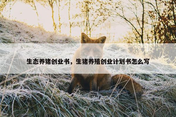 生态养猪创业书，生猪养殖创业计划书怎么写