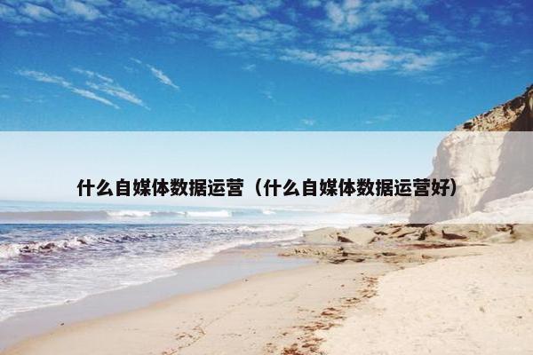什么自媒体数据运营（什么自媒体数据运营好）