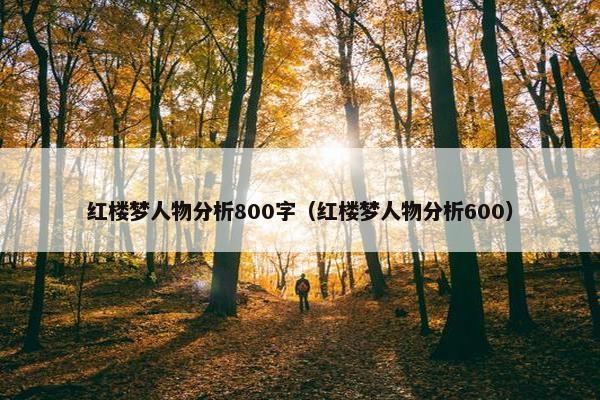红楼梦人物分析800字（红楼梦人物分析600）