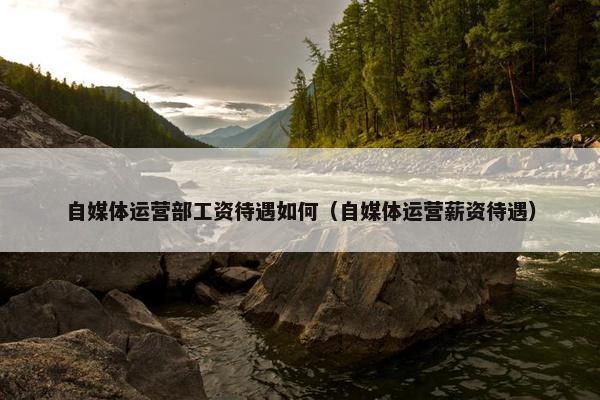 自媒体运营部工资待遇如何（自媒体运营薪资待遇）