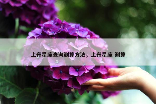 上升星座查询测算方法，上升星座 测算