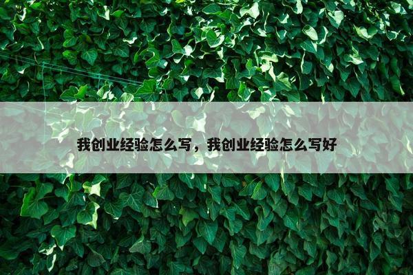 我创业经验怎么写，我创业经验怎么写好