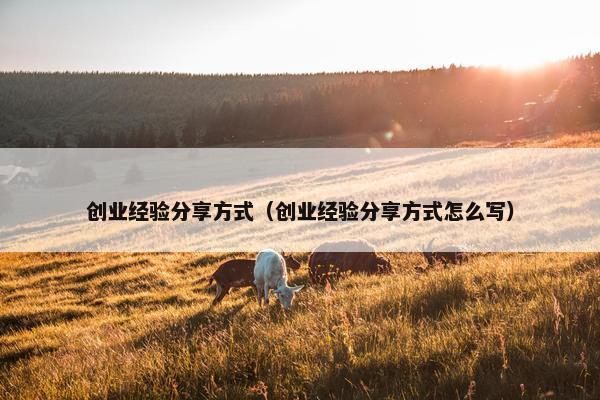 创业经验分享方式（创业经验分享方式怎么写）