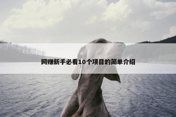 网赚新手必看10个项目的简单介绍