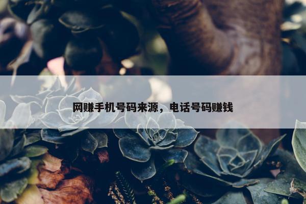 网赚手机号码来源，电话号码赚钱