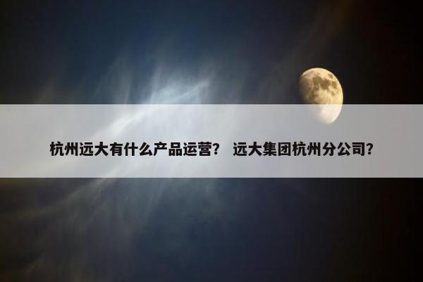 杭州远大有什么产品运营？ 远大集团杭州分公司？