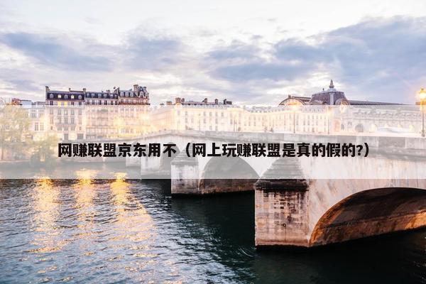 网赚联盟京东用不（网上玩赚联盟是真的假的?）