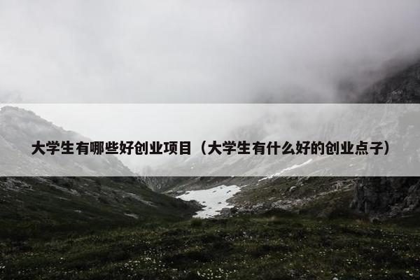 大学生有哪些好创业项目（大学生有什么好的创业点子）