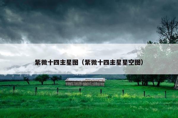紫微十四主星图（紫微十四主星星空图）