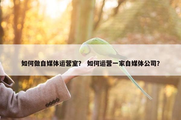 如何做自媒体运营室？ 如何运营一家自媒体公司？