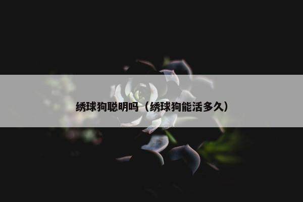 绣球狗聪明吗（绣球狗能活多久）