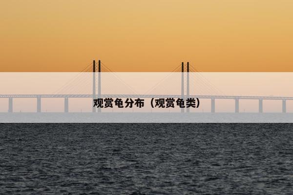 观赏龟分布（观赏龟类）