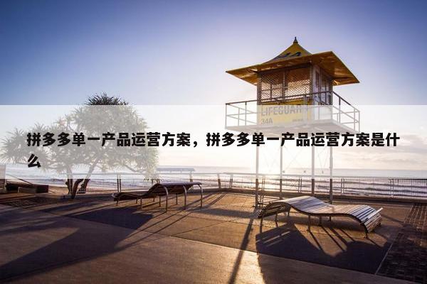 拼多多单一产品运营方案，拼多多单一产品运营方案是什么