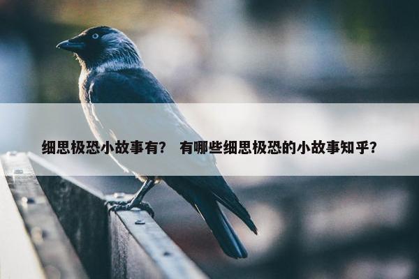 细思极恐小故事有？ 有哪些细思极恐的小故事知乎？