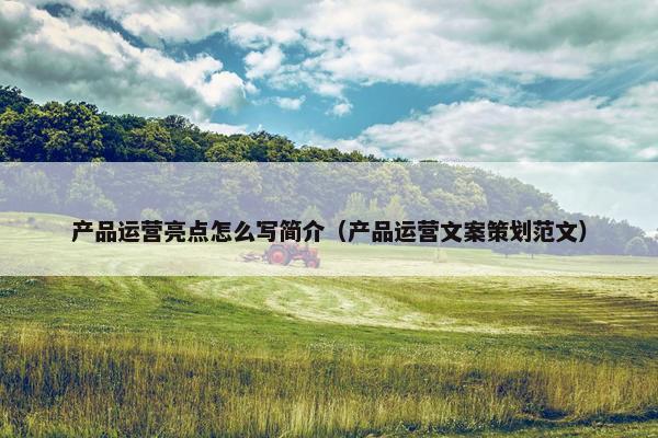 产品运营亮点怎么写简介（产品运营文案策划范文）