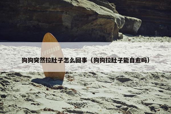狗狗突然拉肚子怎么回事（狗狗拉肚子能自愈吗）