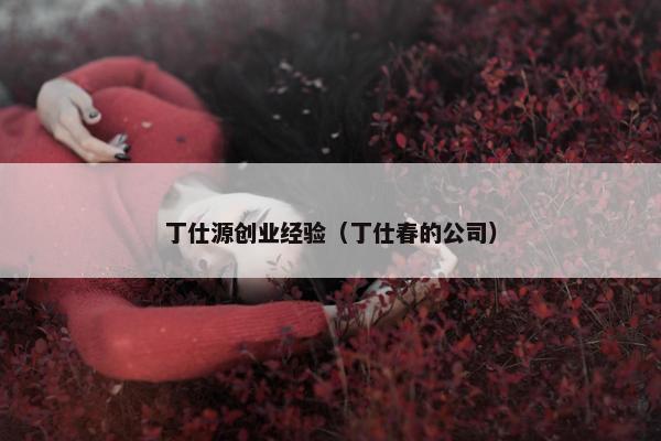 丁仕源创业经验（丁仕春的公司）