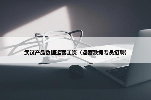 武汉产品数据运营工资（运营数据专员招聘）