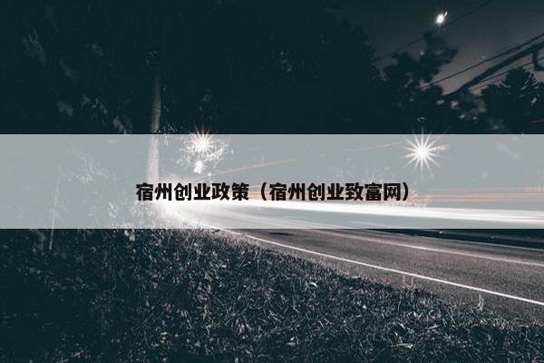 宿州创业政策（宿州创业致富网）