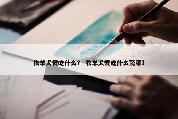 牧羊犬爱吃什么？ 牧羊犬爱吃什么蔬菜？