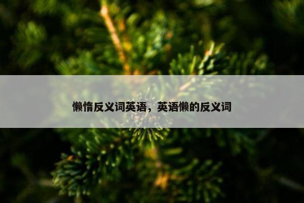 懒惰反义词英语，英语懒的反义词