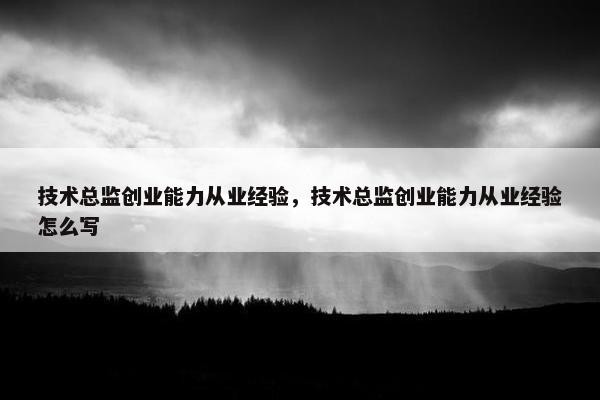 技术总监创业能力从业经验，技术总监创业能力从业经验怎么写