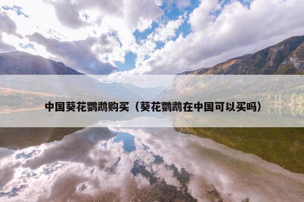 中国葵花鹦鹉购买（葵花鹦鹉在中国可以买吗）