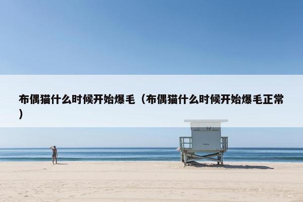 布偶猫什么时候开始爆毛（布偶猫什么时候开始爆毛正常）