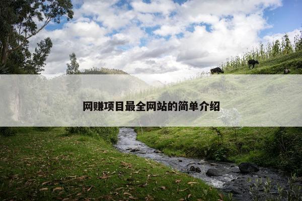 网赚项目最全网站的简单介绍