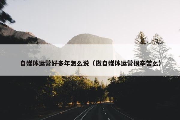 自媒体运营好多年怎么说（做自媒体运营很辛苦么）