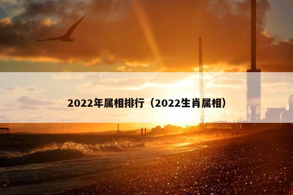 2022年属相排行（2022生肖属相）