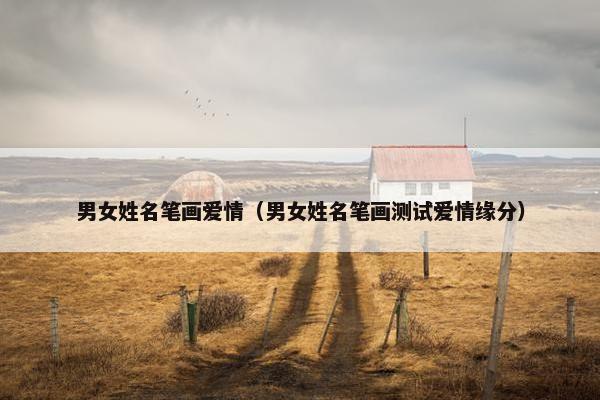 男女姓名笔画爱情（男女姓名笔画测试爱情缘分）