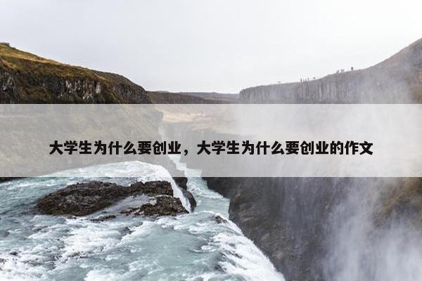 大学生为什么要创业，大学生为什么要创业的作文