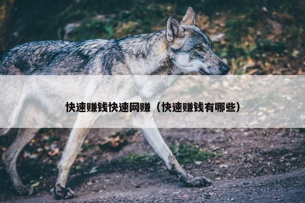 快速赚钱快速网赚（快速赚钱有哪些）