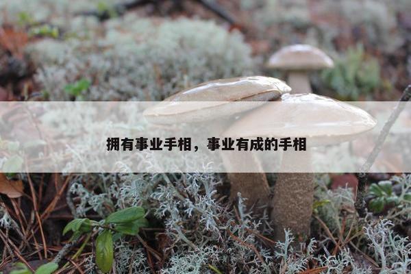 拥有事业手相，事业有成的手相