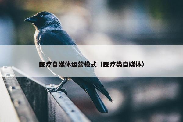 医疗自媒体运营模式（医疗类自媒体）