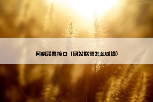 网赚联盟接口（网站联盟怎么赚钱）