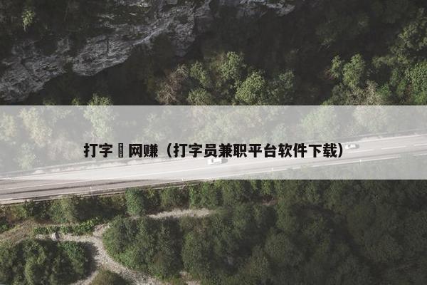 打字員网赚（打字员兼职平台软件下载）