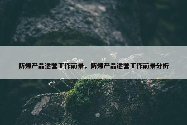 防爆产品运营工作前景，防爆产品运营工作前景分析