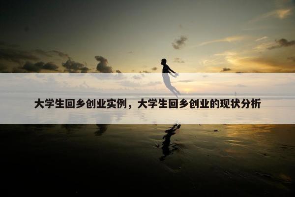 大学生回乡创业实例，大学生回乡创业的现状分析