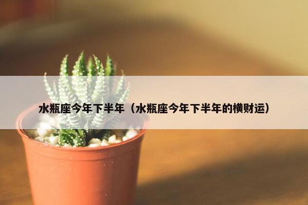 水瓶座今年下半年（水瓶座今年下半年的横财运）