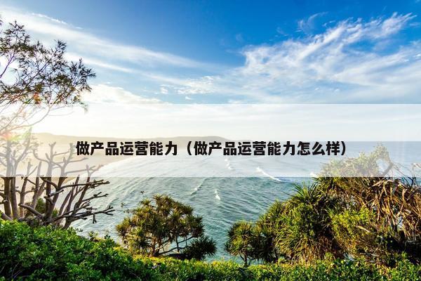 做产品运营能力（做产品运营能力怎么样）