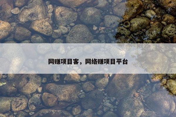网赚项目客，网络赚项目平台