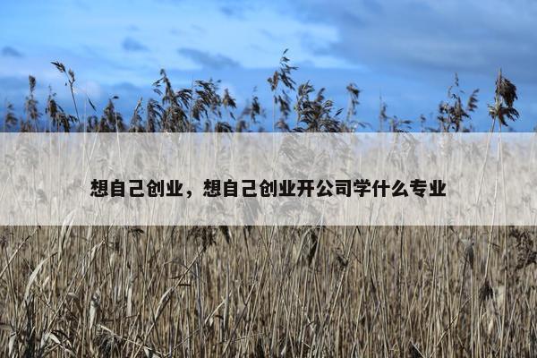 想自己创业，想自己创业开公司学什么专业