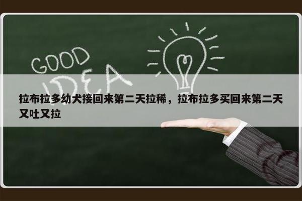 拉布拉多幼犬接回来第二天拉稀，拉布拉多买回来第二天又吐又拉